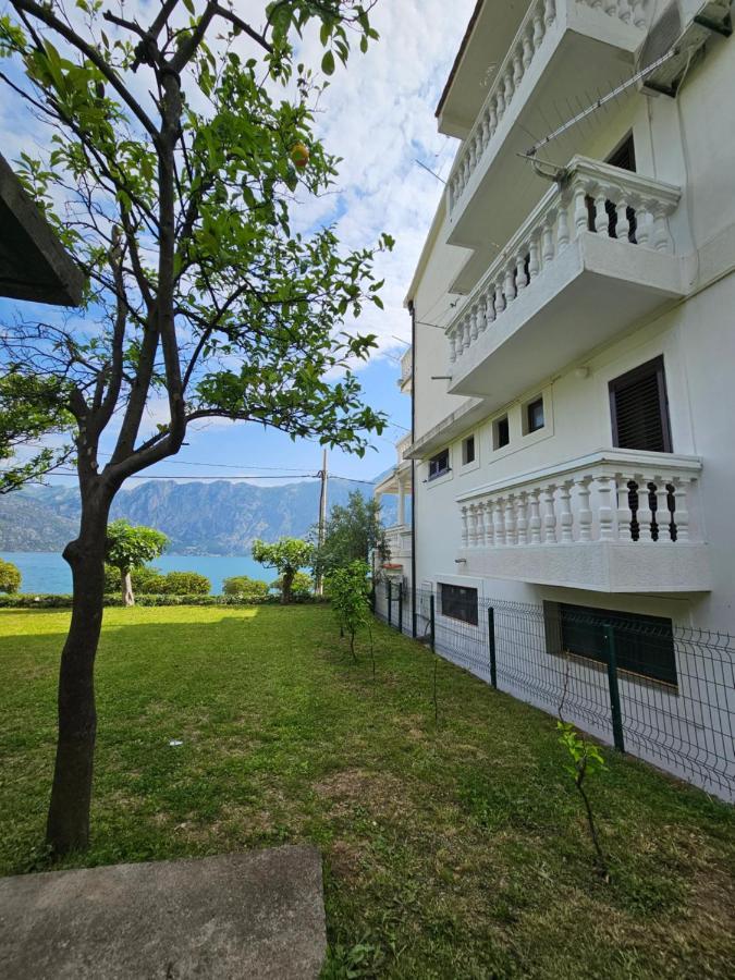Apartments Popovic Kotor Bagian luar foto