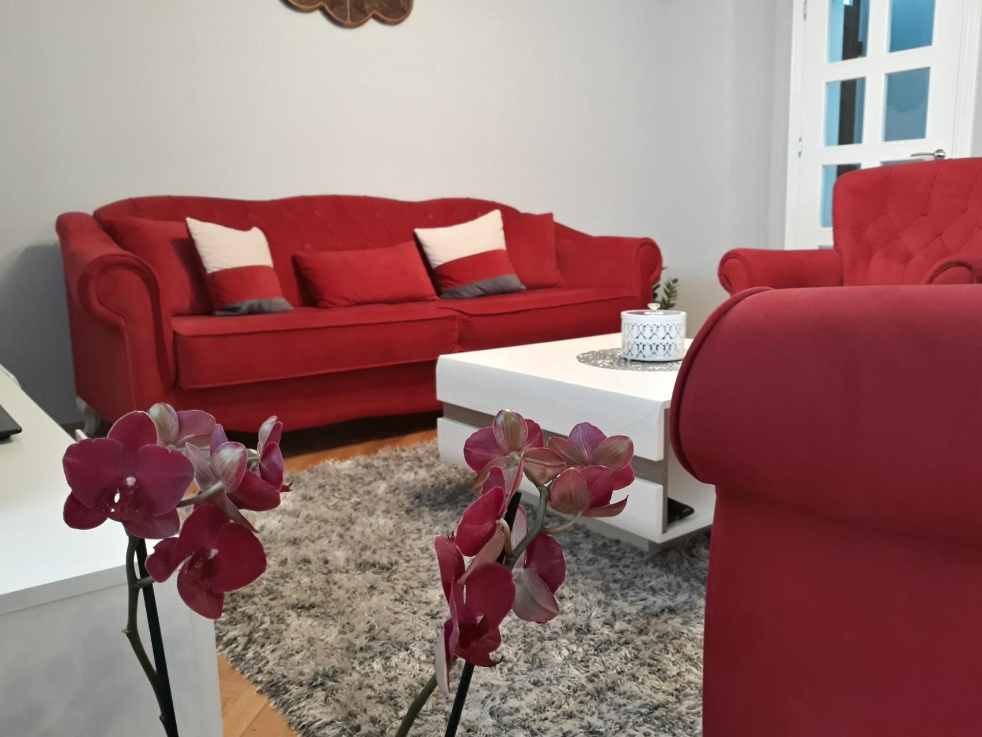 Apartments Popovic Kotor Bagian luar foto