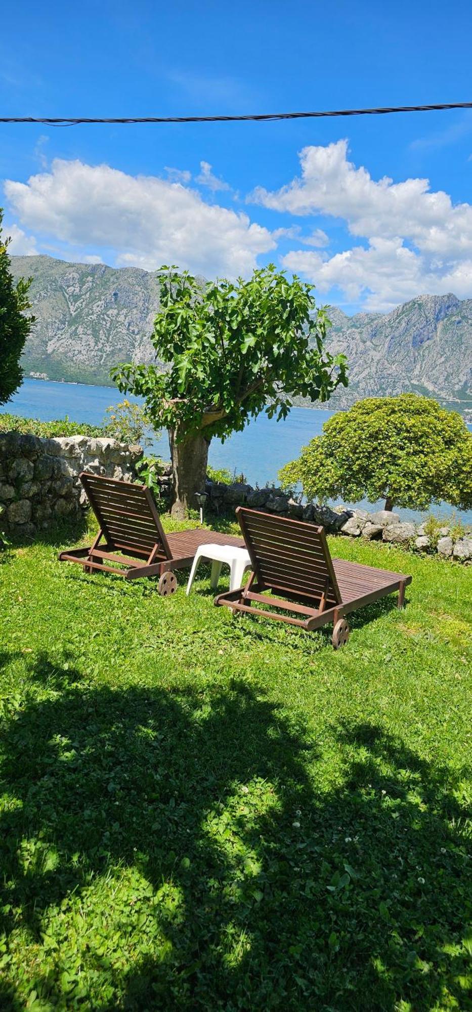 Apartments Popovic Kotor Bagian luar foto