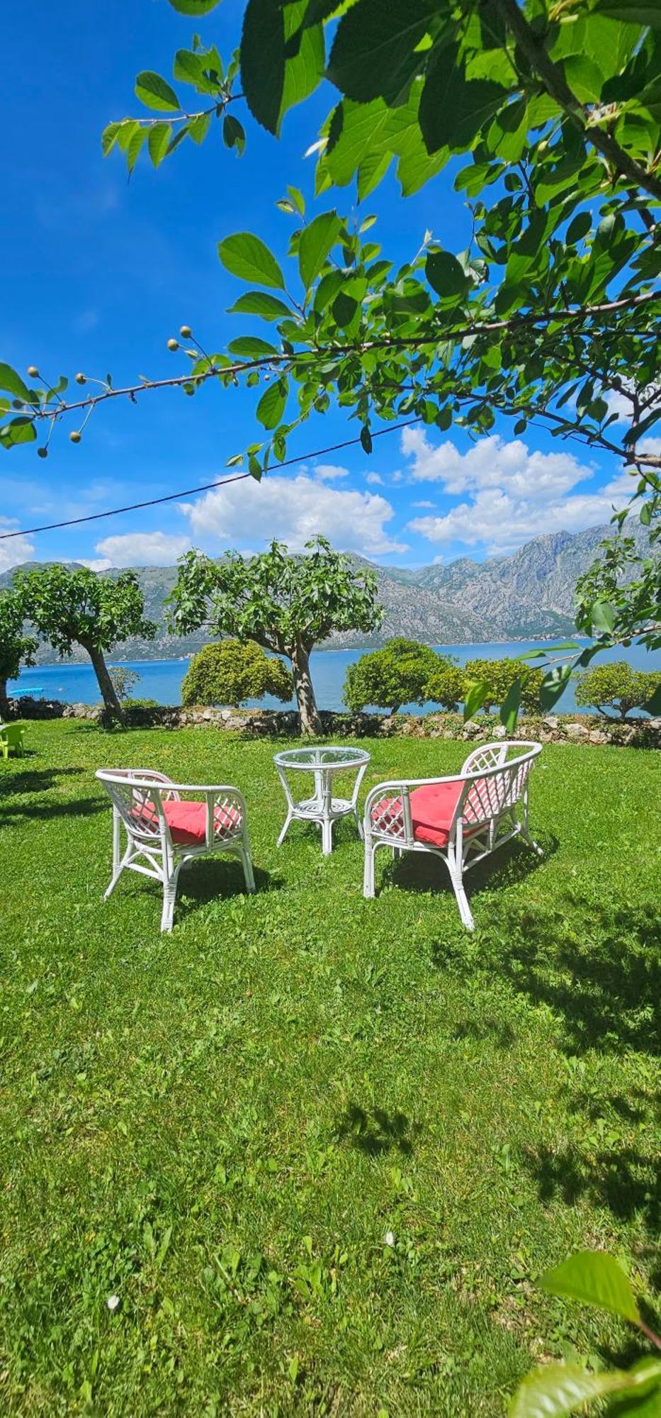 Apartments Popovic Kotor Bagian luar foto