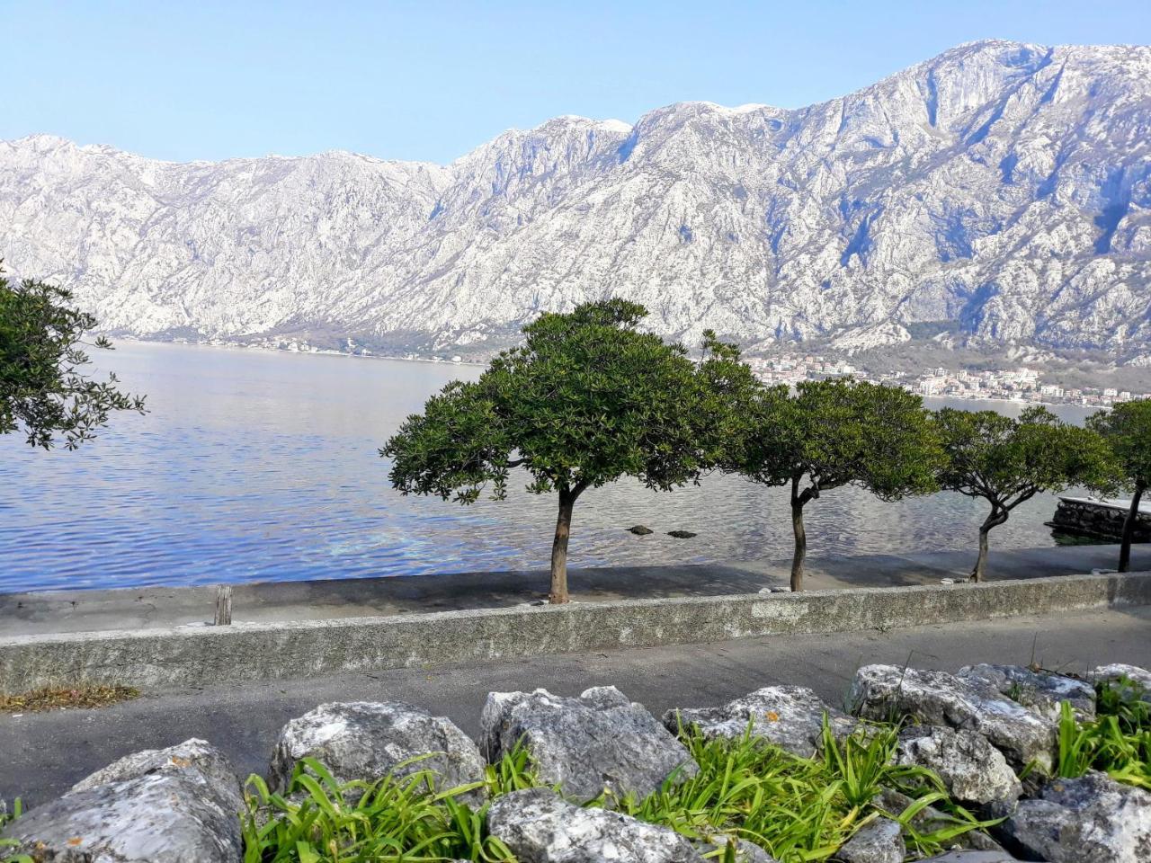 Apartments Popovic Kotor Bagian luar foto